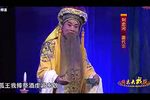 三打金枝 三敬酒哭灵一折下载