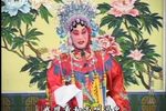 大红袍 13下载
