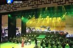 豫剧名家田敏演唱会下下载