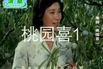 桃园喜