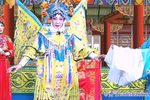 佘太君辞朝