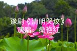 清明哭坟下载