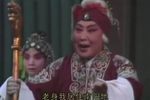 对花枪下载