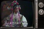 打金枝下载