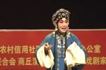 秦香莲下载