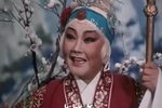 花枪缘 选段