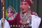 对花枪南营陈情 选段