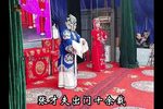 桃花庵九尽春回杏花开