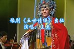 五世请缨下载