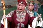 对花枪下载