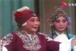 对花枪 选段下载
