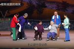 朝阳沟下载