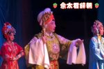 佘太君辞朝 选段
