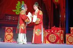 麻风女传奇下载