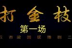 打金枝下载