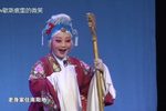 对花枪下载