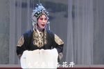 桃花庵 上集下载