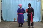 蔡龙府 全集下载