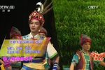 金花银花 选段