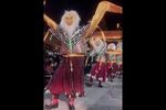 白玛雯波下载