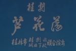 芦花荡下载