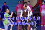 海红酸海红甜下载