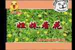 姐妹看花下载