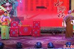 老少换