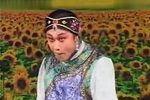 懒大嫂 选段下载
