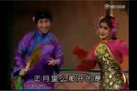 十对花下载