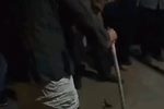 桂西壮族传统师公戏 选段下载