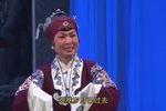 白罗衫下载