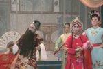 闹严府下载