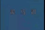 泥马泪 全集下载