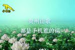 都是手机惹的祸 选段