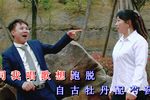 啄不赢你心不甘下载