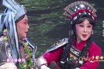 官鹅情歌 选段