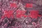 万家春下载