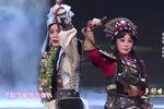 官鹅情歌 选段