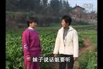 打工妹遇花心老板 全集