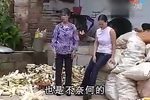 三个娃娃两个妈 全集下载