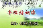半路结姻缘 全集