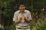 花心男人裤带松