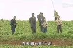 花心婆娘爱帅哥 全集