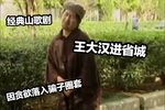 王大汉进省城