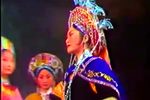 奢香夫人下载