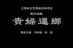 贵妇还乡下载
