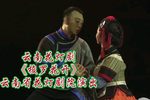 梭罗花开下载