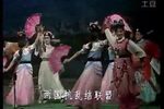 双蝶记 24
