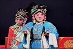 狸猫换太子 全集 上集下载